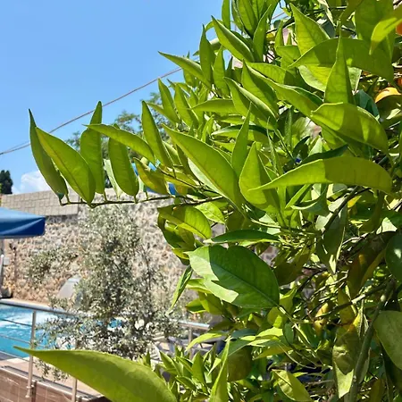 Apartment Sabah Homes Antalya